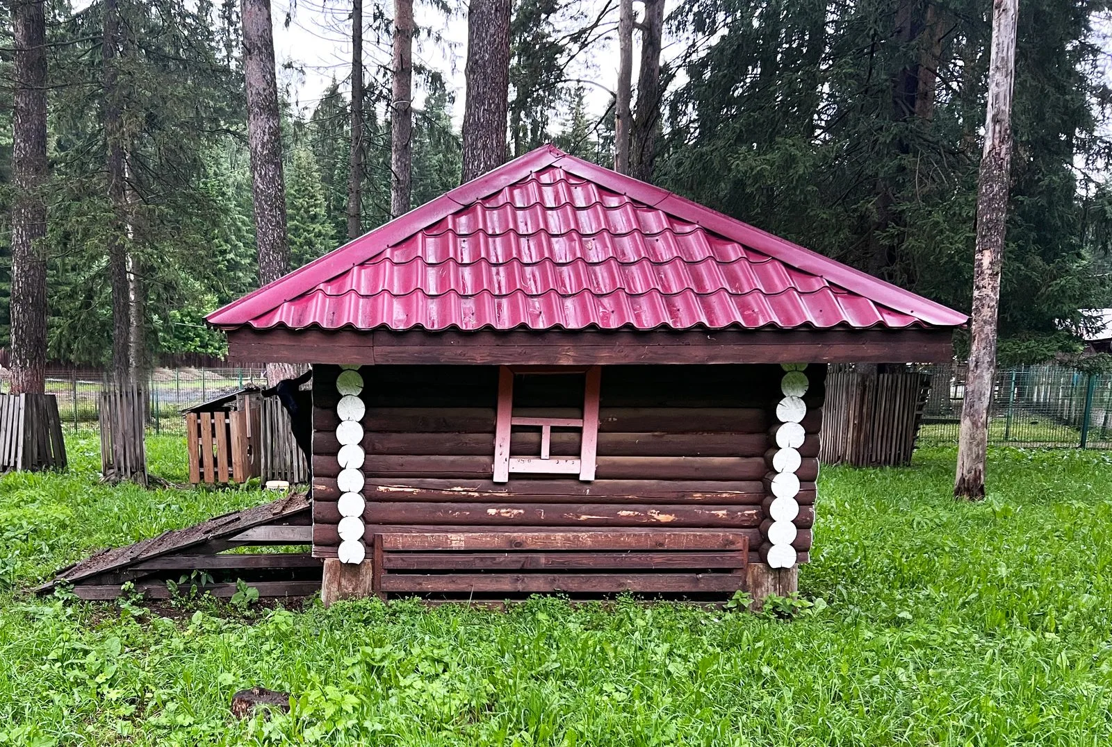 Friggebod i trädgård – bygglovsfria regler